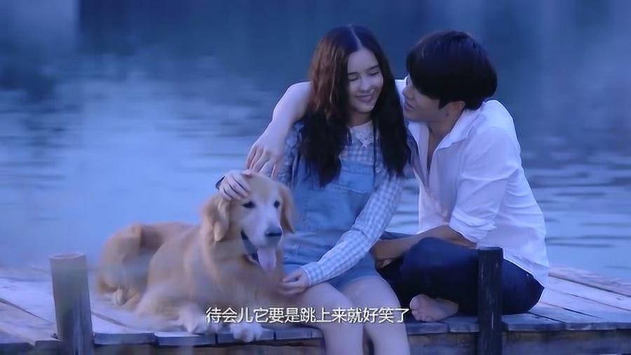 收集星星的高吉