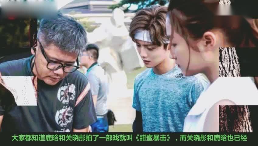 救援可爱小松鼠