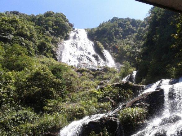 企鹅回城5之飞渡横木